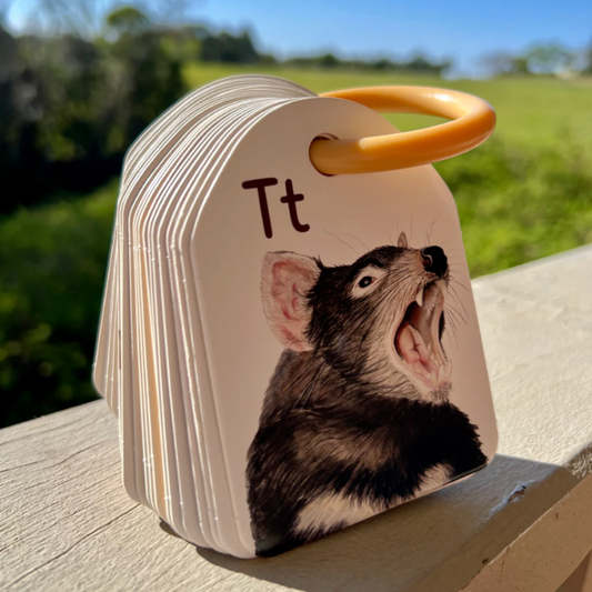 MODERN MONTY - Ringed Australian Animal Alphabet Flash Cards