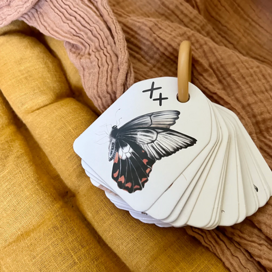 MODERN MONTY - Ringed Australian Animal Alphabet Flash Cards