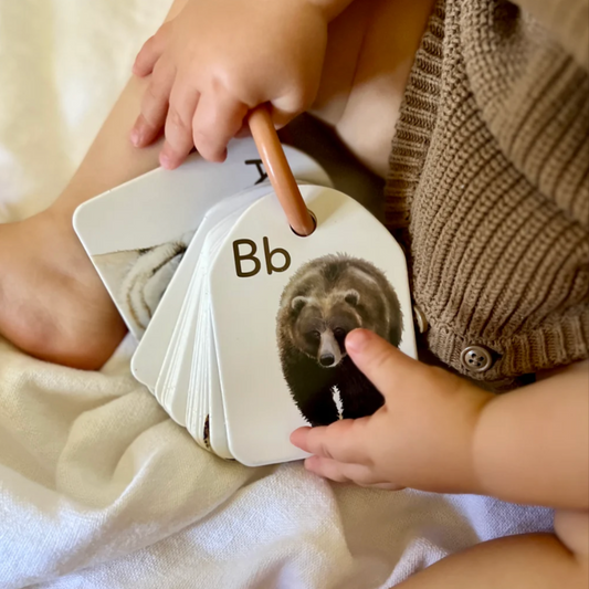 MODERN MONTY - Ringed Animal Alphabet Flash Cards