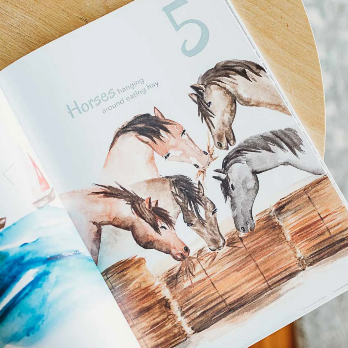 ADORED ILLUSTRATIONS - The Incredible 123 Book