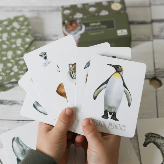 MODERN MONTY - Animals Snap & Go Fish