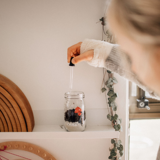 POPPY & DAISY - Let's Create Mini Garden Kit