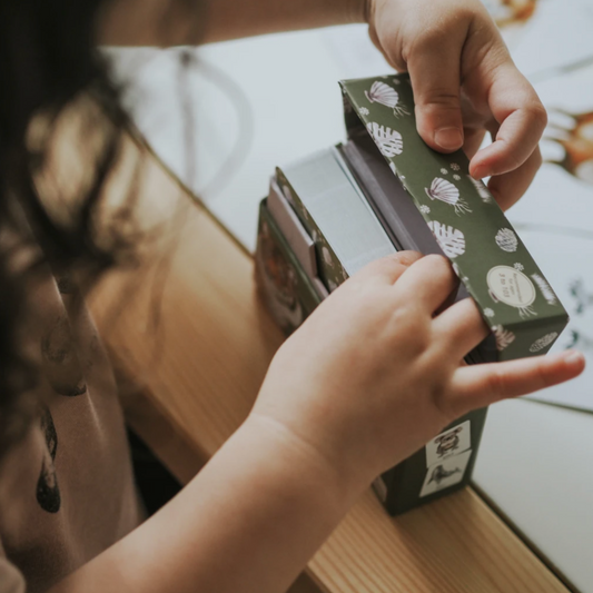 MODERN MONTY - Animals Snap & Go Fish