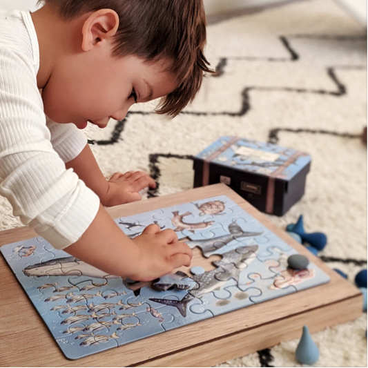 MODERN MONTY - Take Me With You Puzzle | Ocean