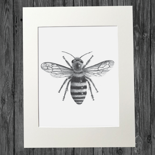 CATHY HAMILTON ART - Bee Print