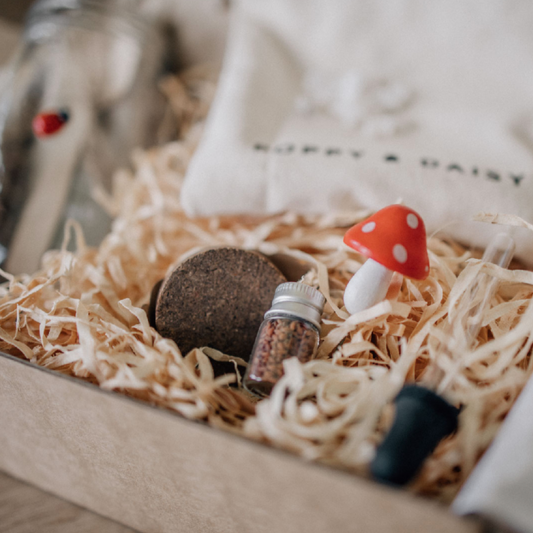 POPPY & DAISY - Let's Create Mini Garden Kit