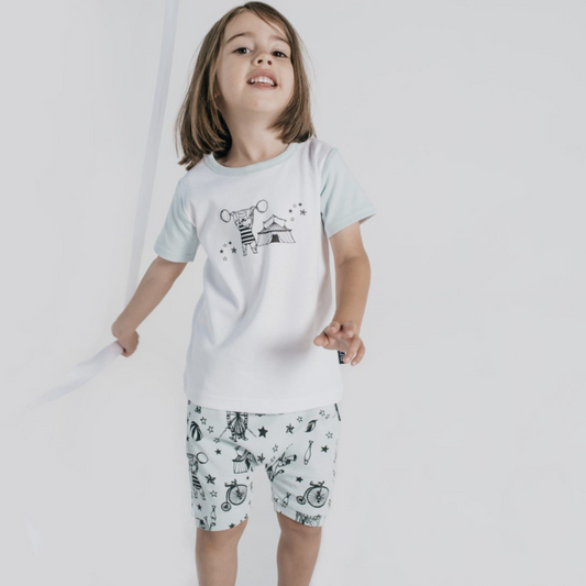 ASTER & OAK - Mint Strongman Raglan Tee | White