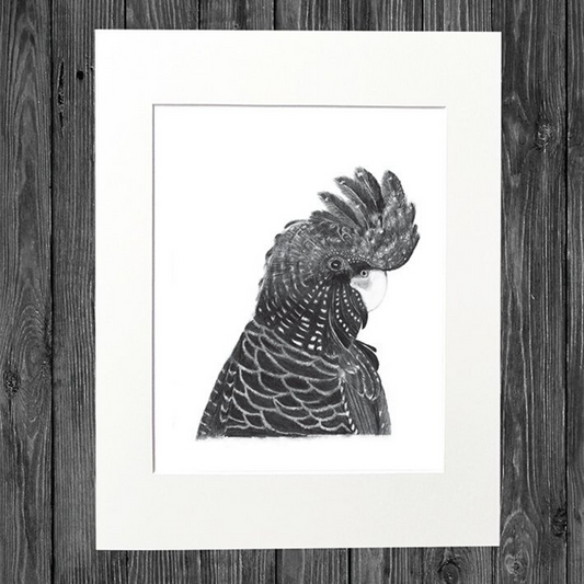CATHY HAMILTON ART - Black Cockatoo Print