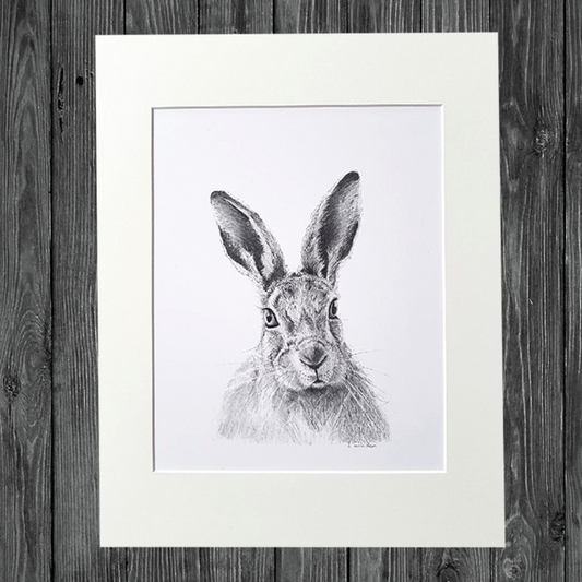 CATHY HAMILTON ART - Hare Print