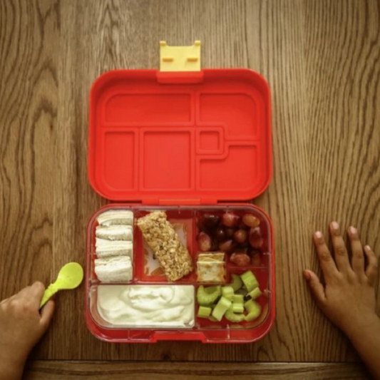 MY MUNCH BOX - Maxi 6 Red Lava