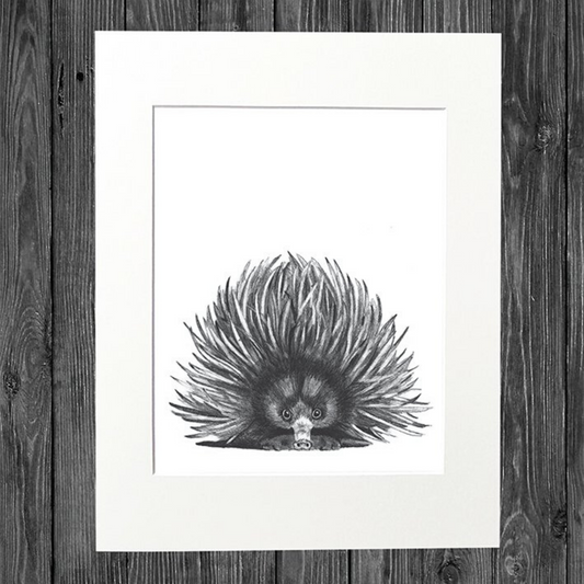 CATHY HAMILTON ART - Echidna Print