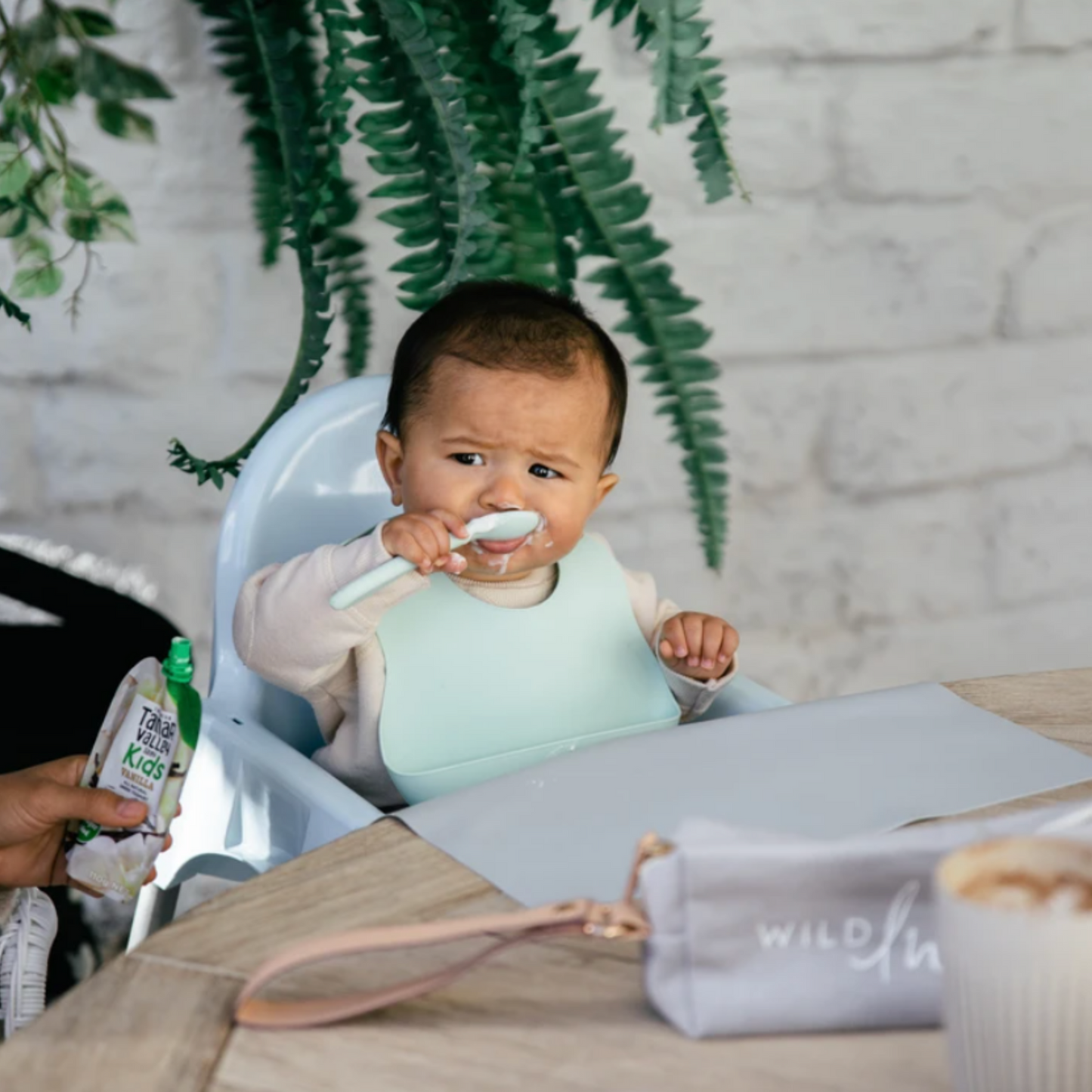 WILD INDIANA - 'GO' | SAGE