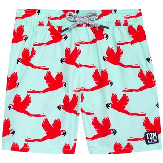 TOM & TEDDY - Boys Light Blue & Pink Parrot