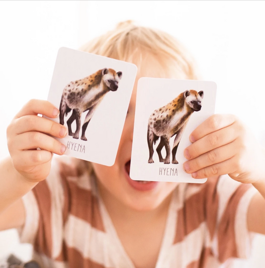 MODERN MONTY - Africa Snap & Go Fish