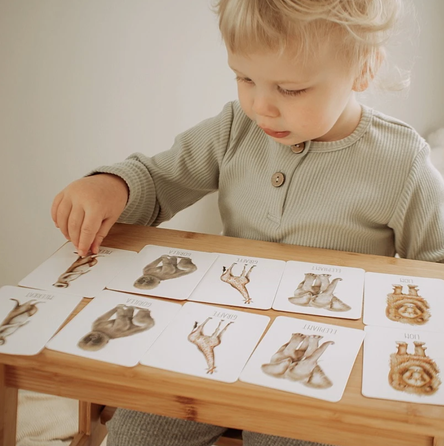 MODERN MONTY - Africa Snap & Go Fish