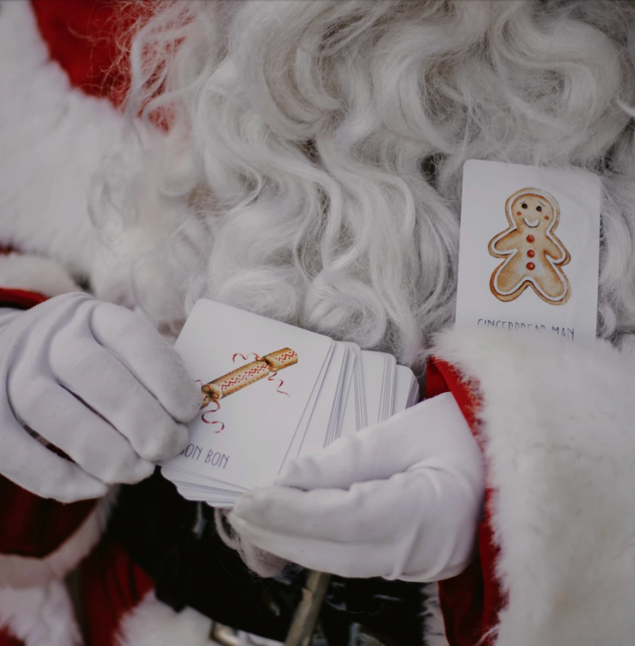 MODERN MONTY - CHRISTMAS Snap & Go Fish