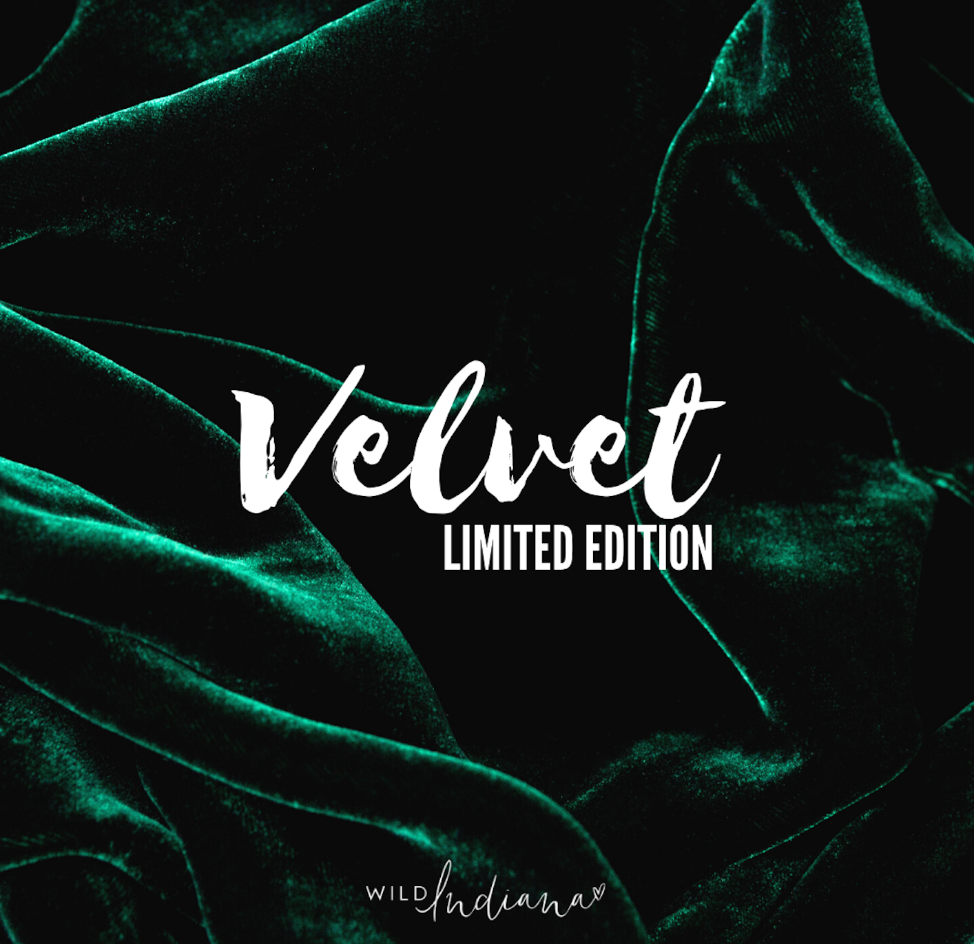 WILD INDIANA - Winter LIMITED EDITION Silicone Bowl Set | Forest