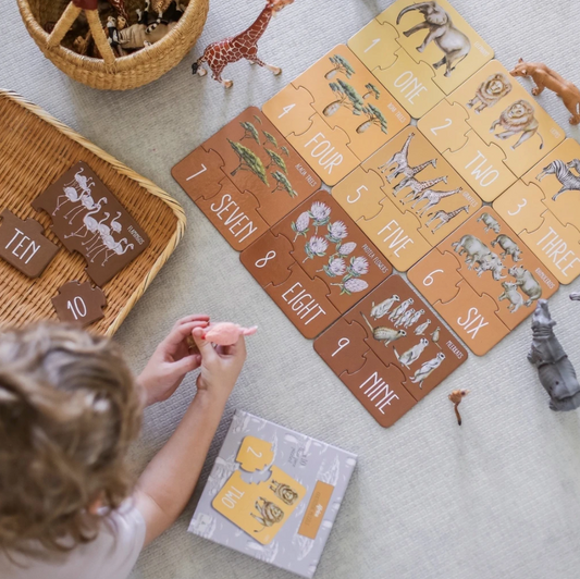 MODERN MONTY - Counting Puzzle | Africa