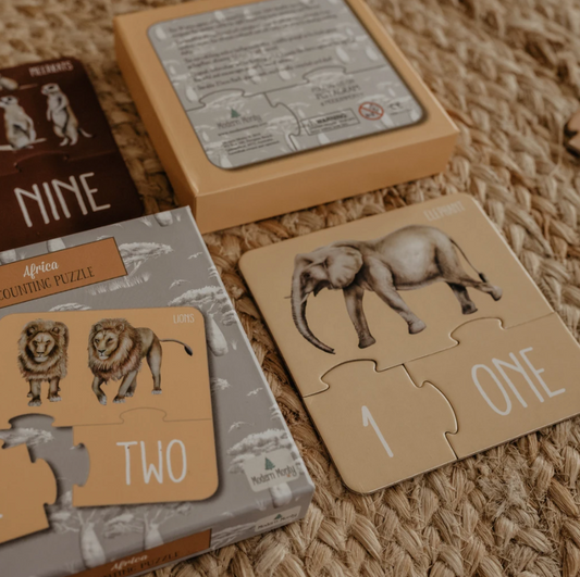 MODERN MONTY - Counting Puzzle | Africa