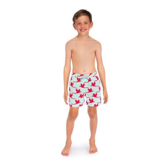 TOM & TEDDY - Boys Light Blue & Pink Parrot