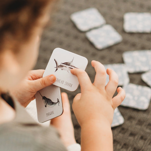 MODERN MONTY - Ocean Memory Card Game