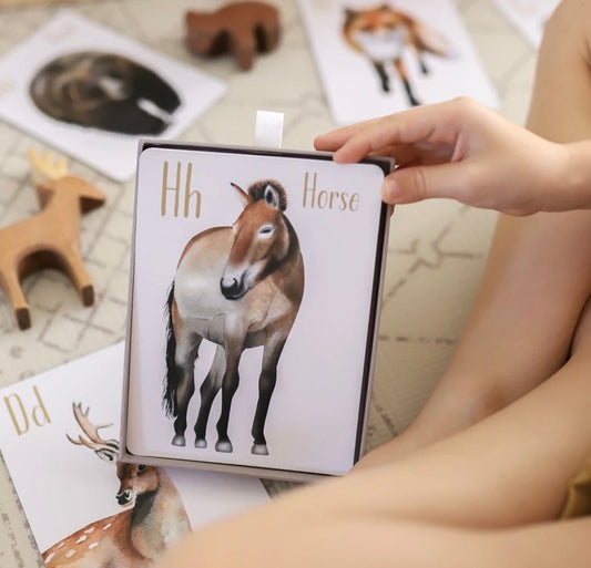 MODERN MONTY - Animal Alphabet Flash Cards