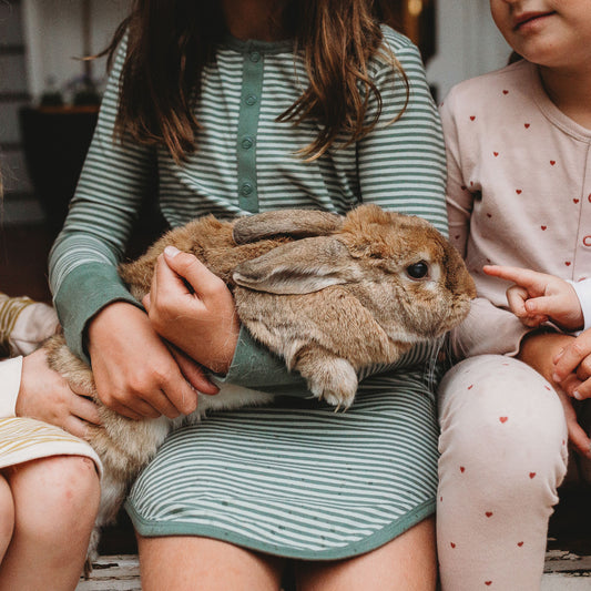 THE REST - Winter Nightie | Seafoam Stripe