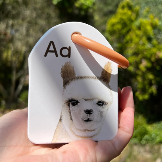 MODERN MONTY - Ringed Animal Alphabet Flash Cards