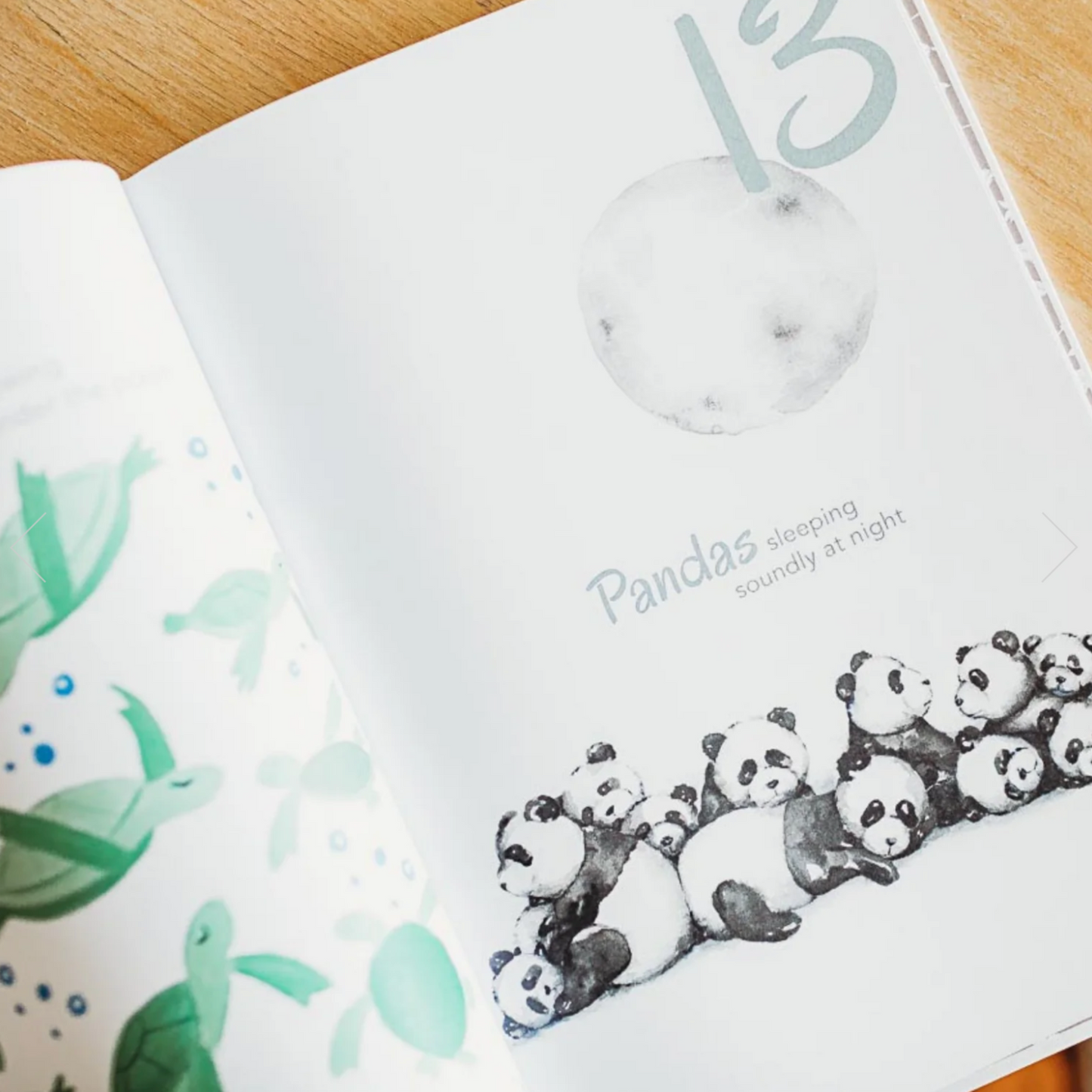 ADORED ILLUSTRATIONS - The Incredible 123 Book
