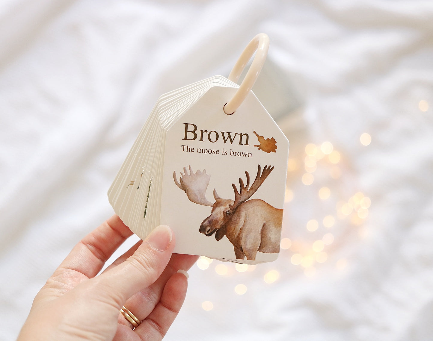 MODERN MONTY - Ringed Woodland Colours and Counting Flash Cards