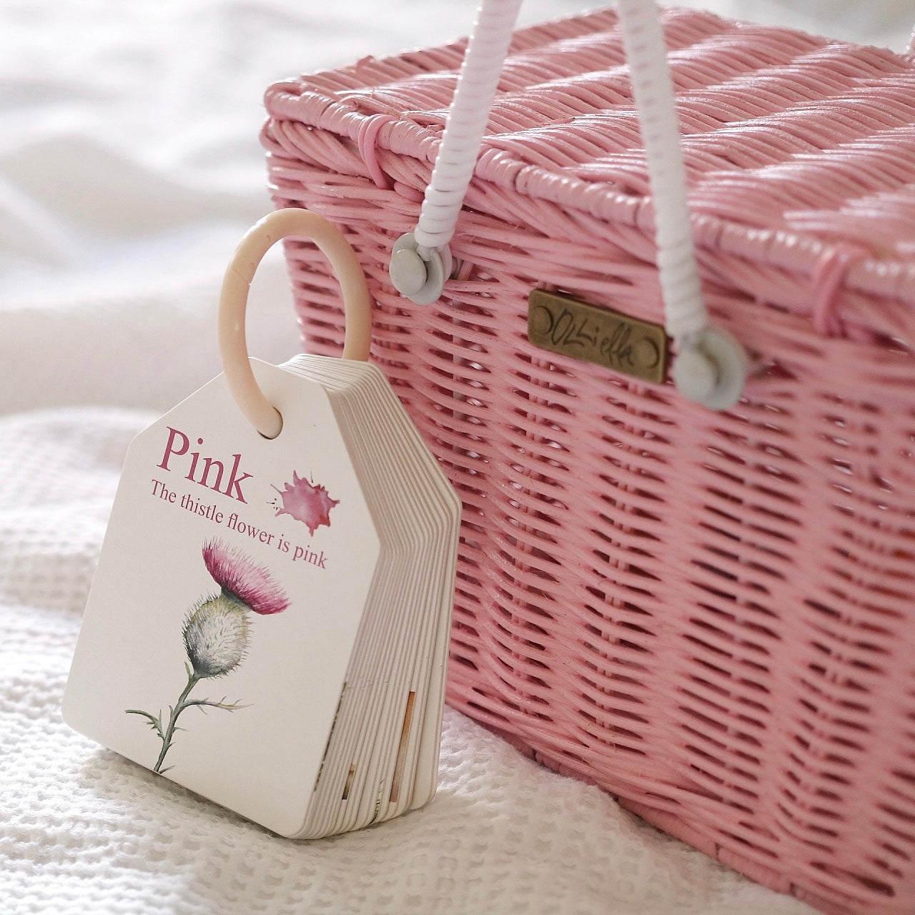 MODERN MONTY - Ringed Woodland Colours and Counting Flash Cards