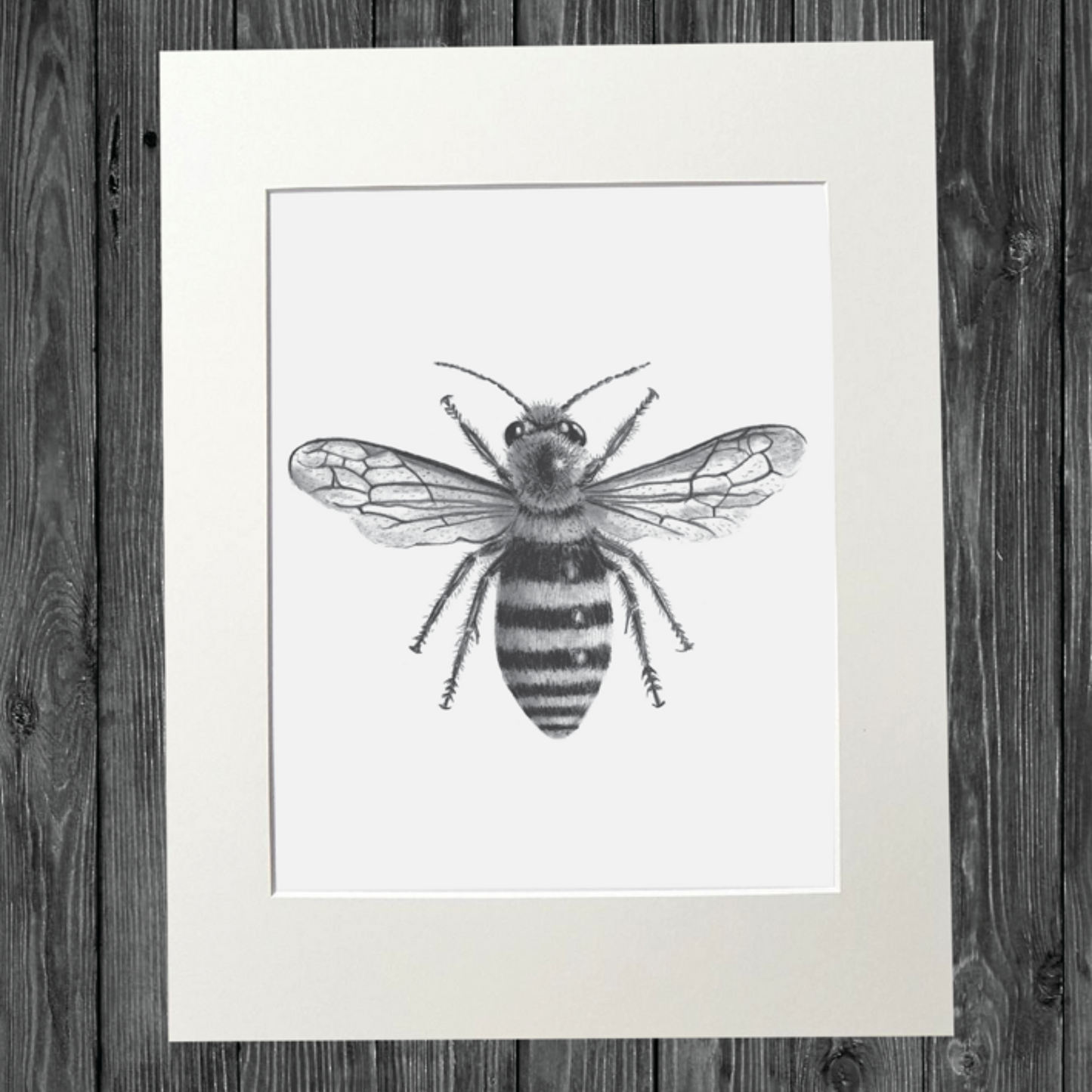 CATHY HAMILTON ART - Bee Print
