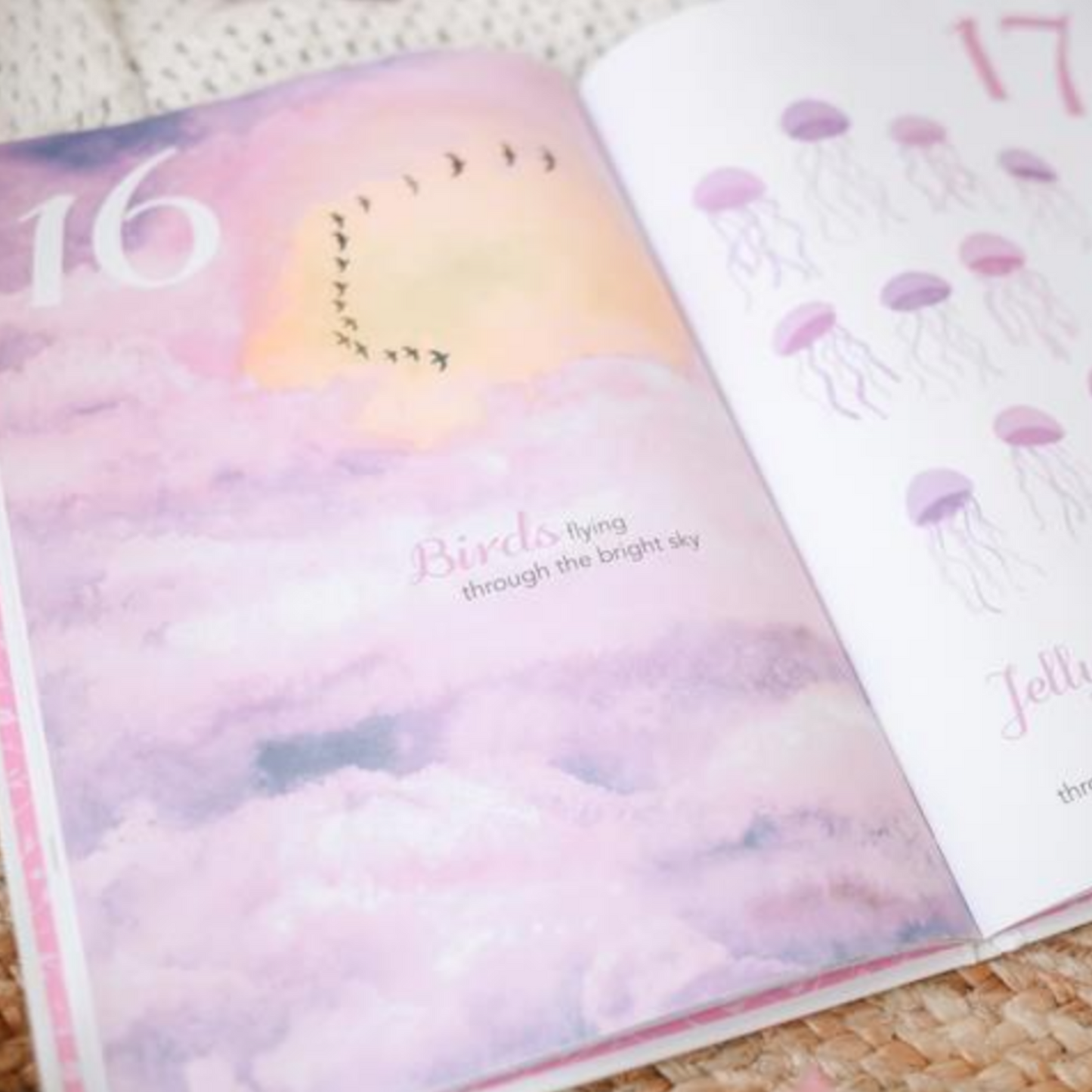 ADORED ILLUSTRATIONS - The Enchanting 123 Book
