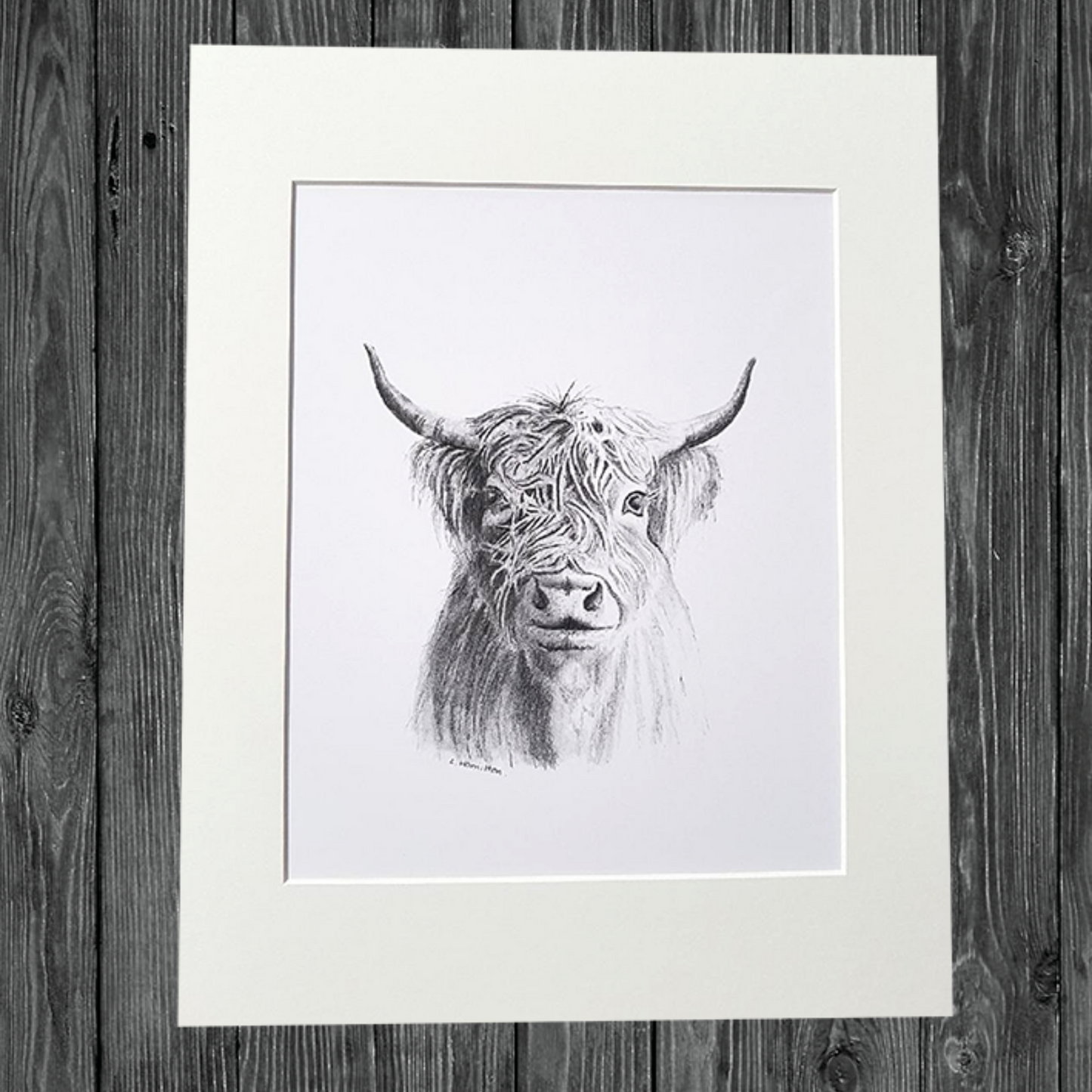 CATHY HAMILTON ART - Highland Cow Print