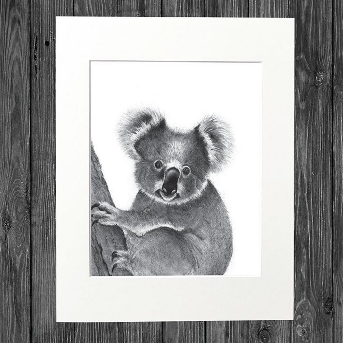 CATHY HAMILTON ART - Koala Print