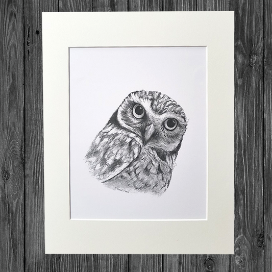 CATHY HAMILTON ART - Owl Print