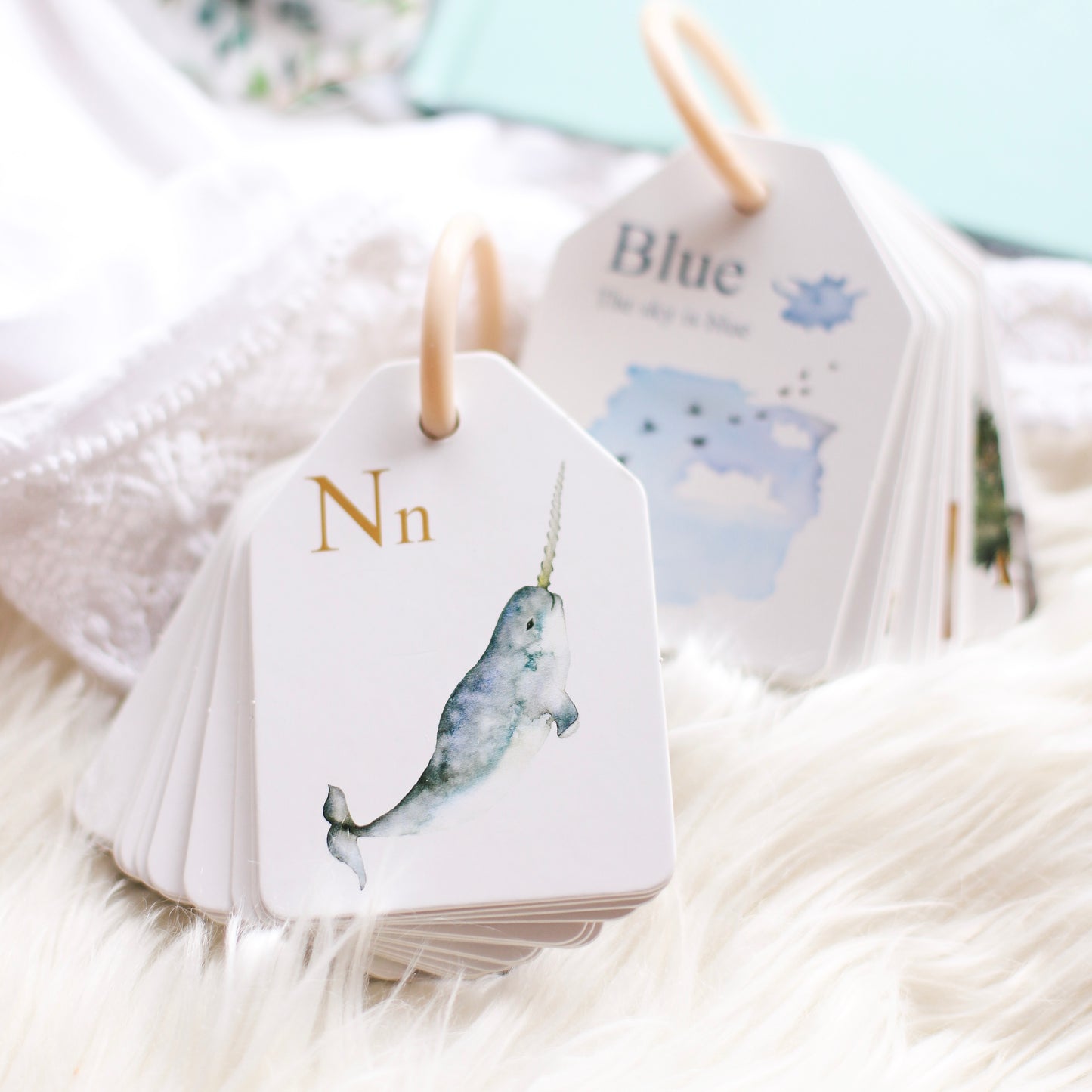 MODERN MONTY - Ringed Woodland Colours and Counting Flash Cards