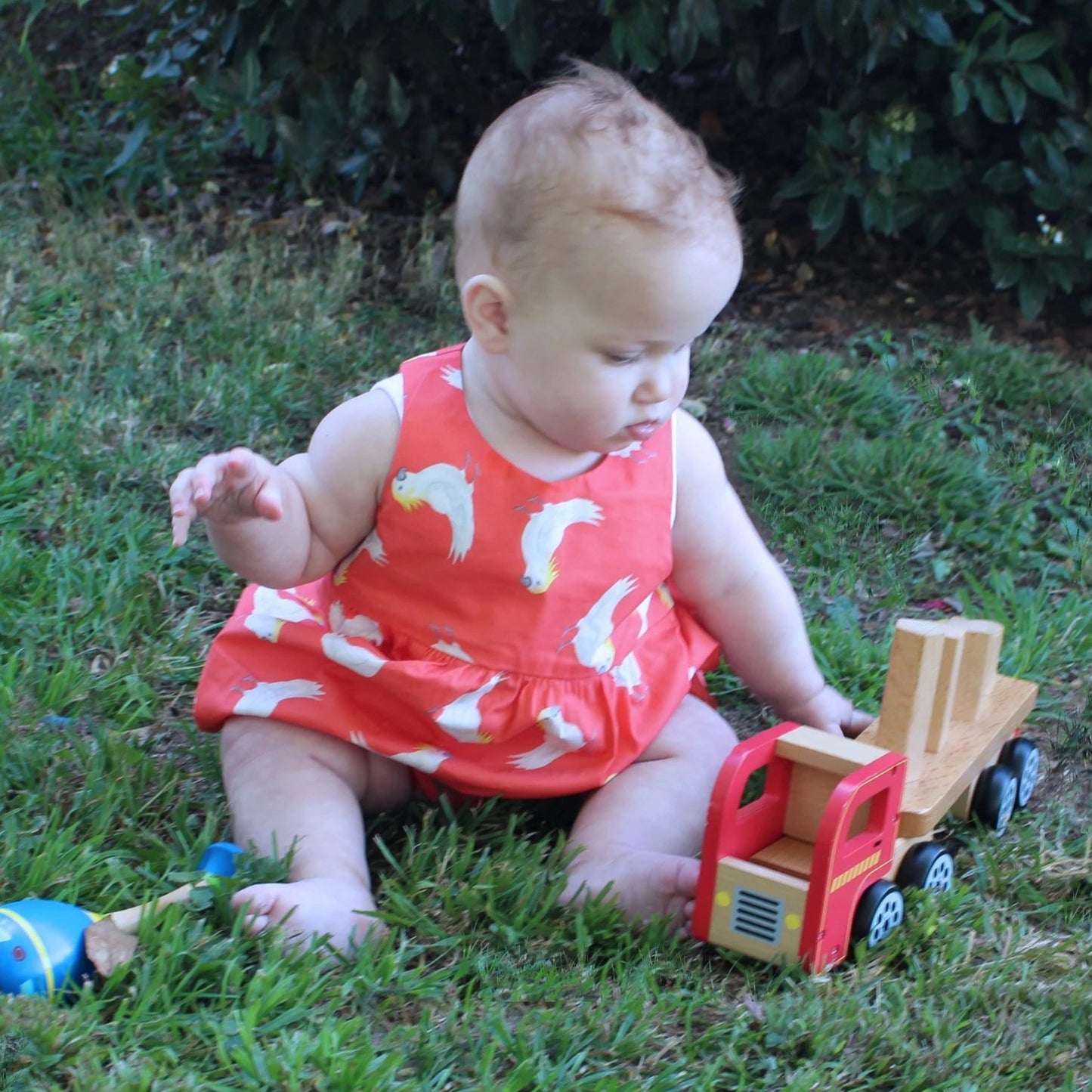 NURA - Cockatoo Sophie Dress