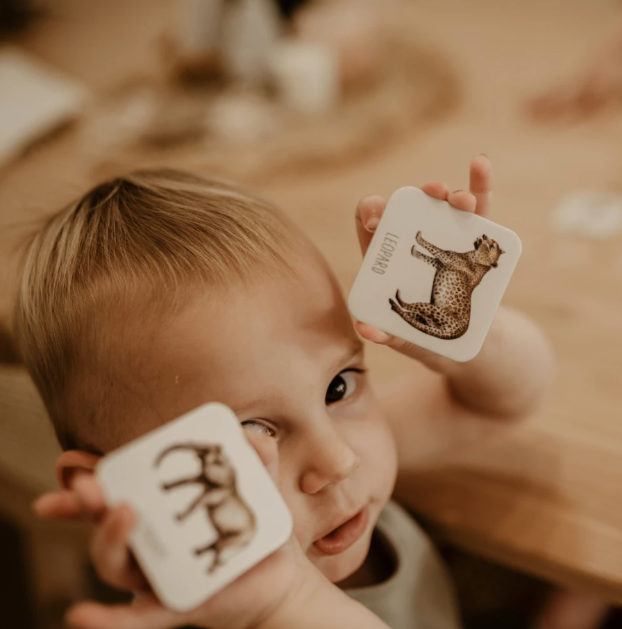 Toddler holding leopard and elephant cards from an African themed memory game.