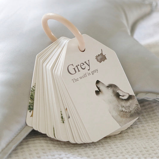 MODERN MONTY - Ringed Woodland Colours and Counting Flash Cards