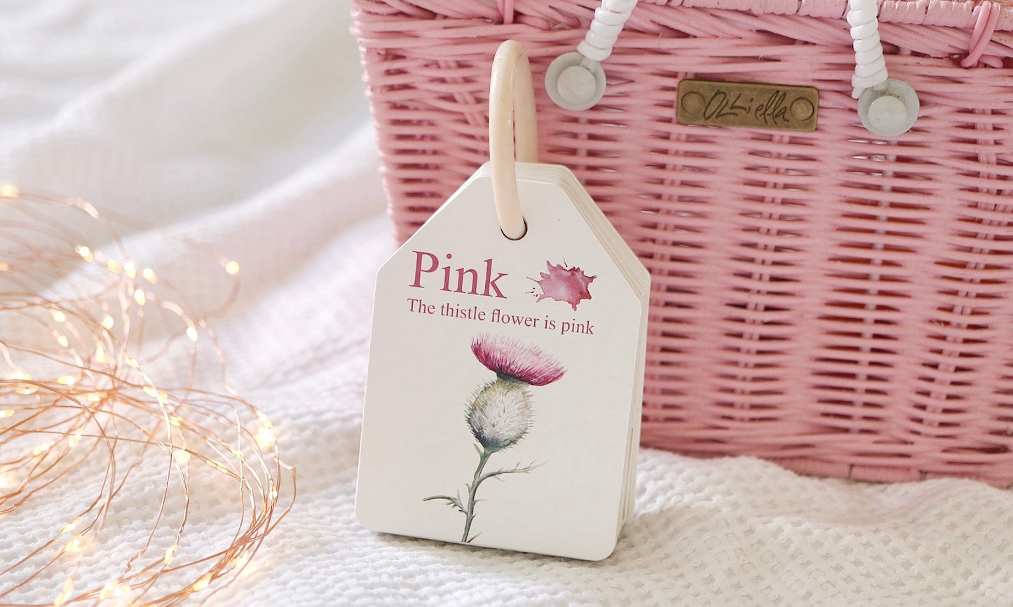 MODERN MONTY - Ringed Woodland Colours and Counting Flash Cards