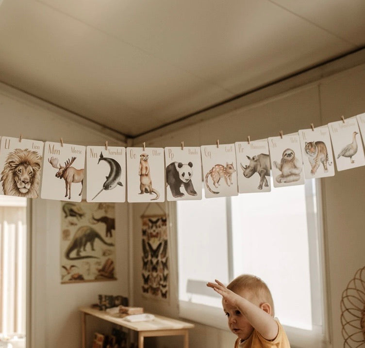 MODERN MONTY - Animal Alphabet Flash Cards