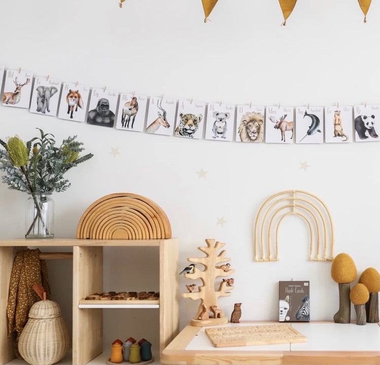 MODERN MONTY - Animal Alphabet Flash Cards