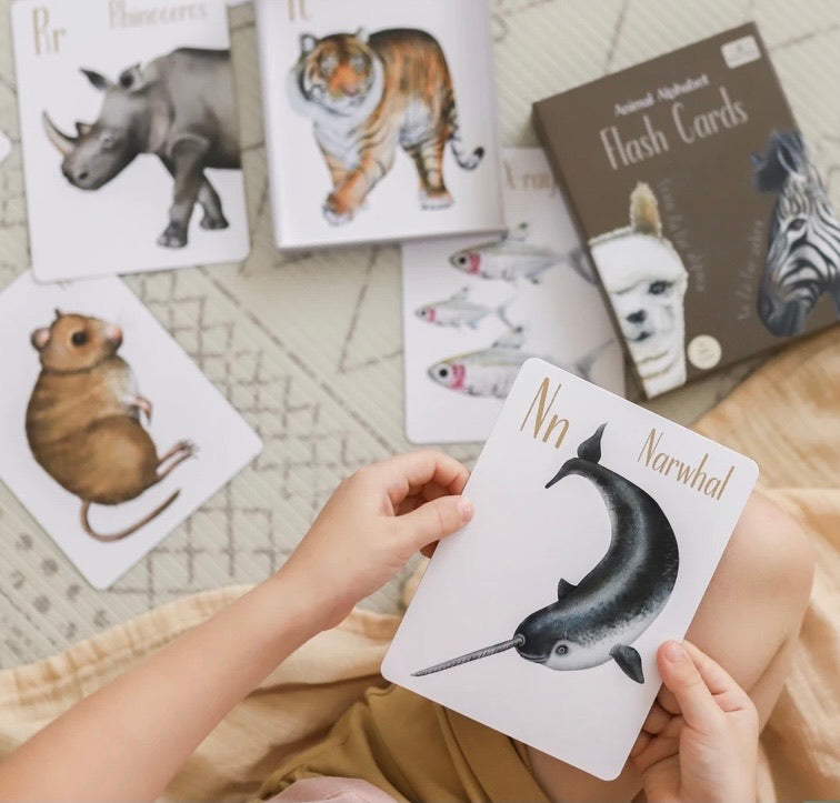 MODERN MONTY - Animal Alphabet Flash Cards